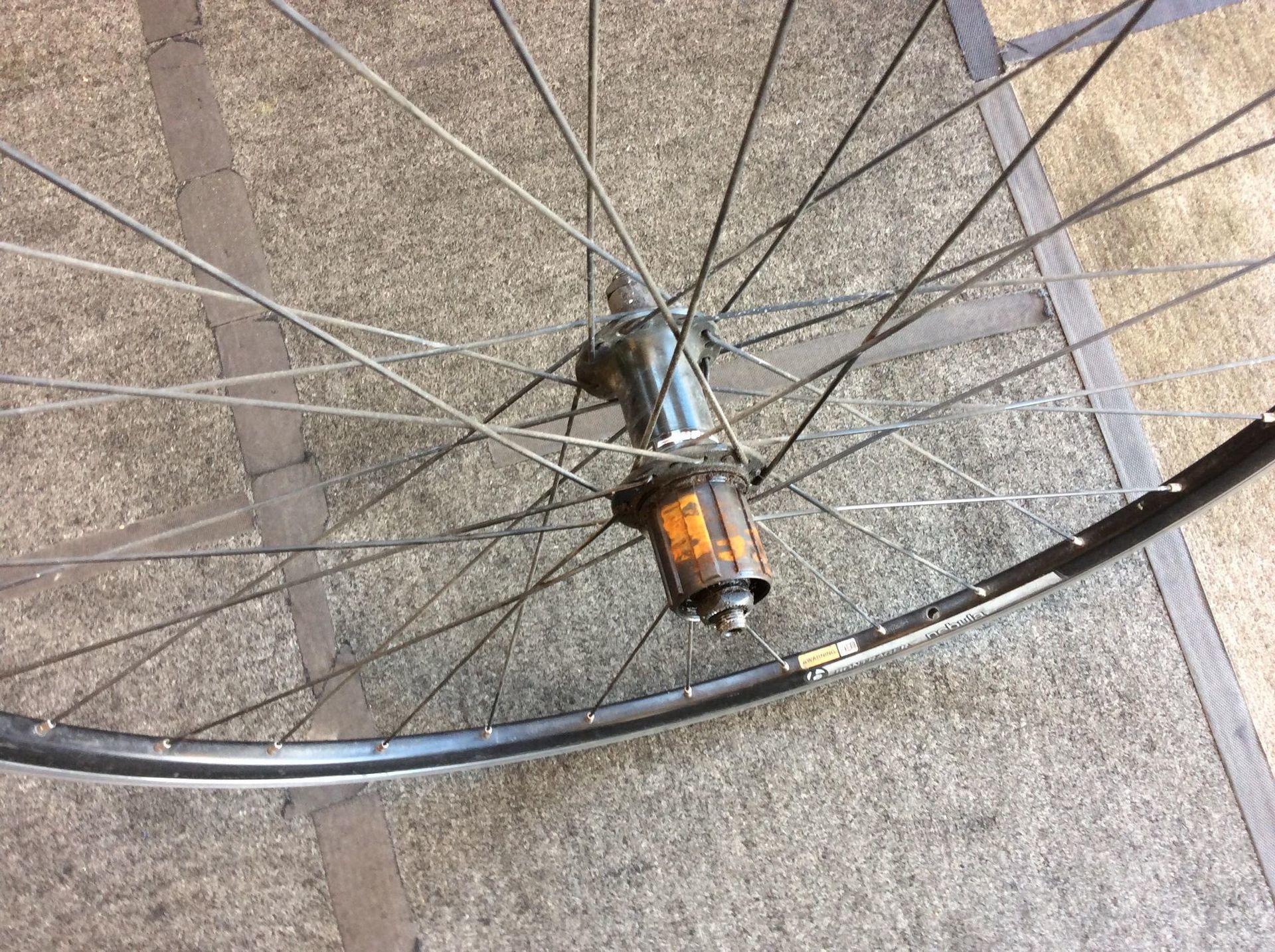 フリーボディにグリスを塗布する理由。: DayDownBicycles -長野